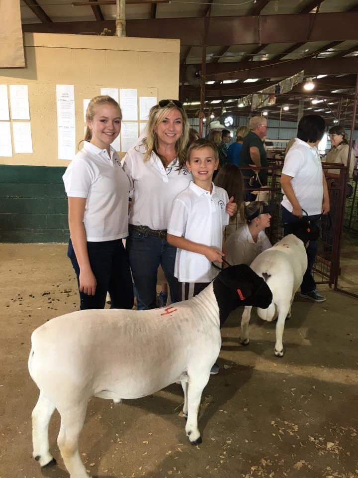 Group with show sheep inside livestock barn