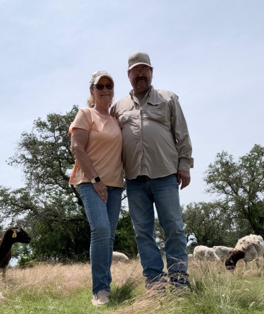 Couple standing in grassy field with sheep